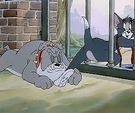 《猫和老鼠》往事:揭秘汤姆和杰瑞传奇背后的