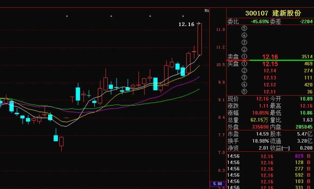 建新股份:一季报预盈1.2亿,预增20倍,开启二次