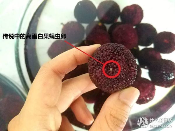 好吃就这几天的杨梅，究竟该怎么吃?