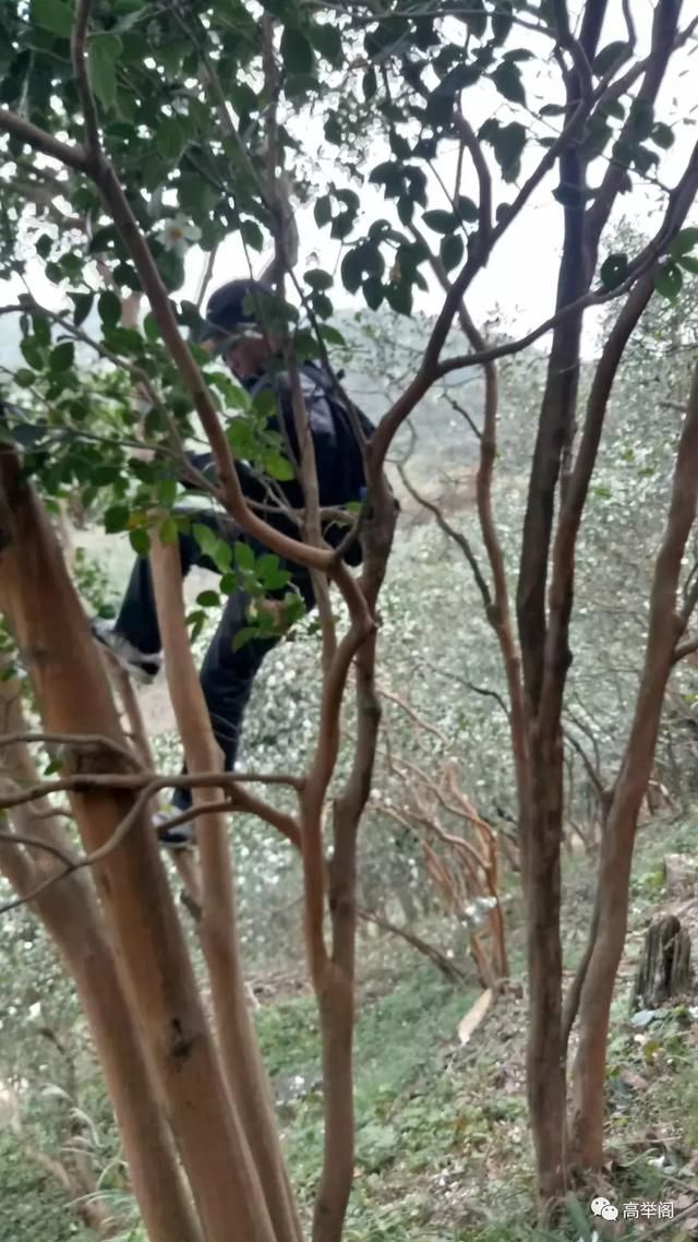 随笔李祖新: 我这么说旅游