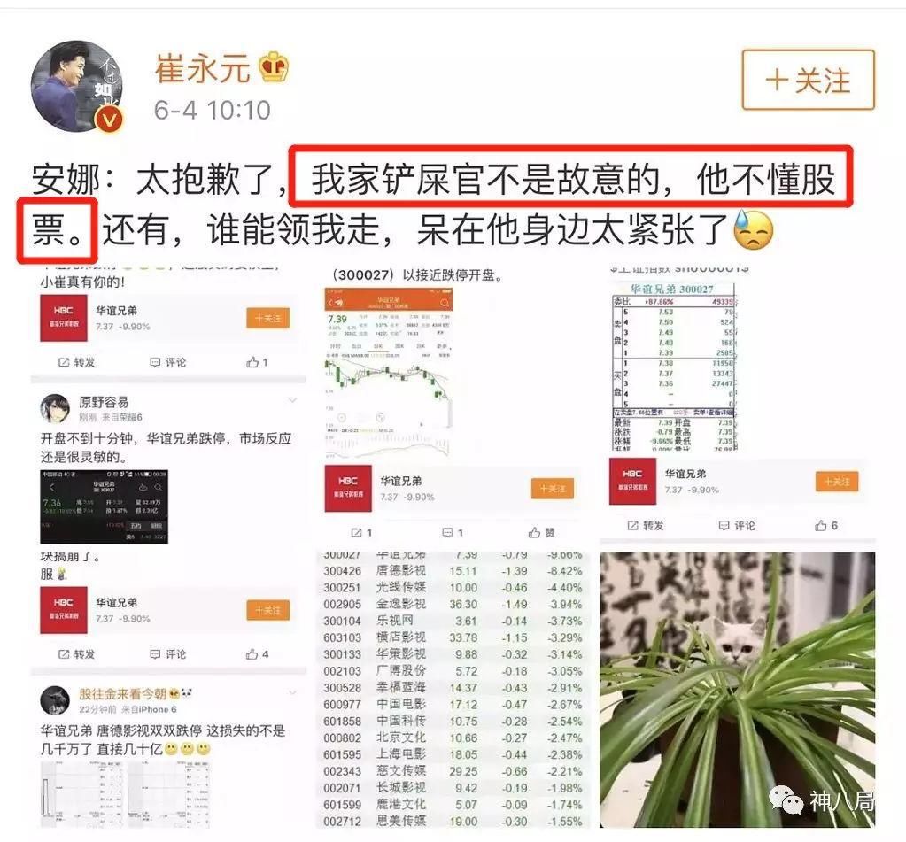 范冰冰被查税引发股价地震，张馨予开心到带狗狂舞，冰冰凉凉?