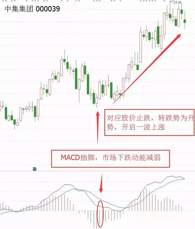 A股最强逃顶秘籍之MACD赚钱信号，看懂散户的命运将彻底改变