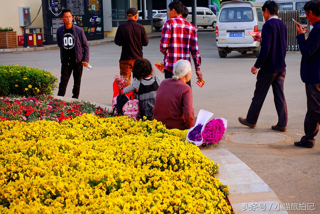 探秘云南昆明凌晨花市，那么多漂亮的花，在这里会是什么价?