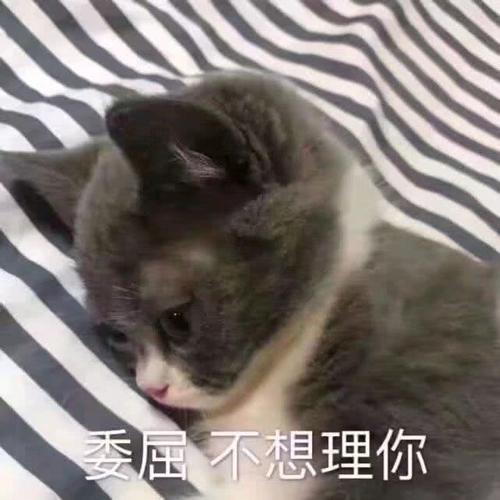 敲使用哭唧唧的表情,你是想变小我这个可爱手机图委屈后表情包气死图片