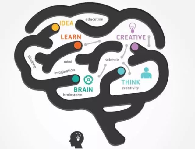 人类大脑在解码信息时,居然会先挑复杂的处理