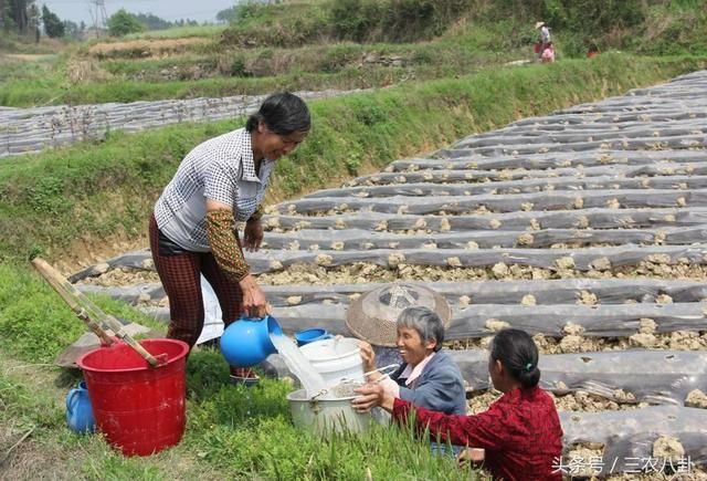 2018年农村土地将有四大变化，土地升值后，这些土地将被收回！