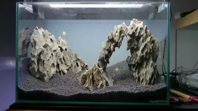 t01d61baa37edad4783.jpg
