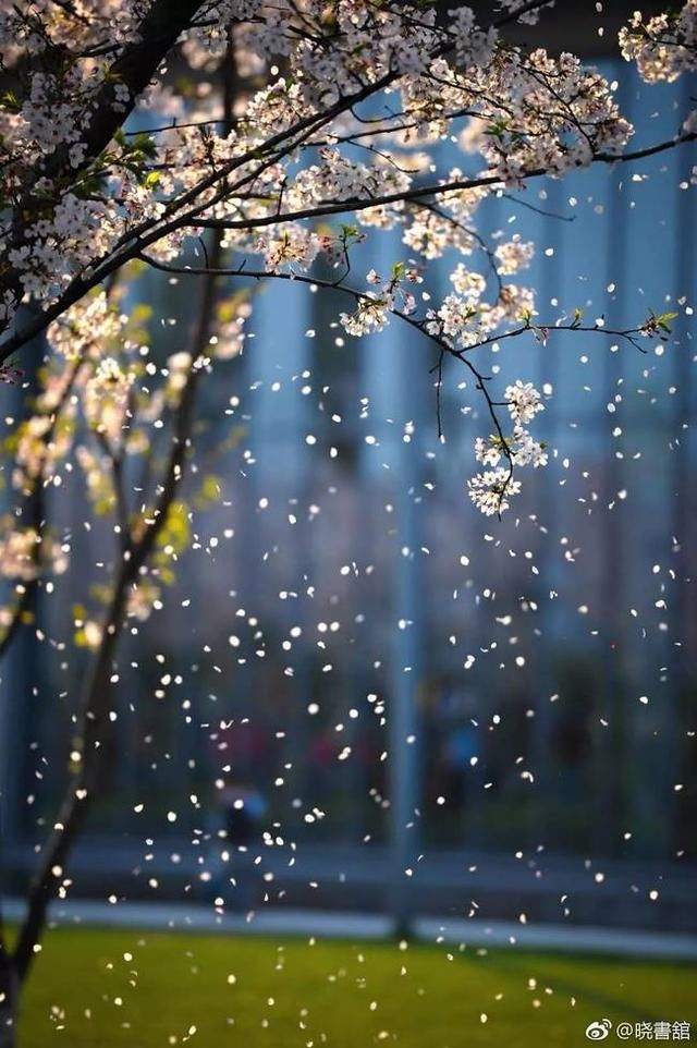 高晓松的诗和远方，大概就是晓书馆的模样