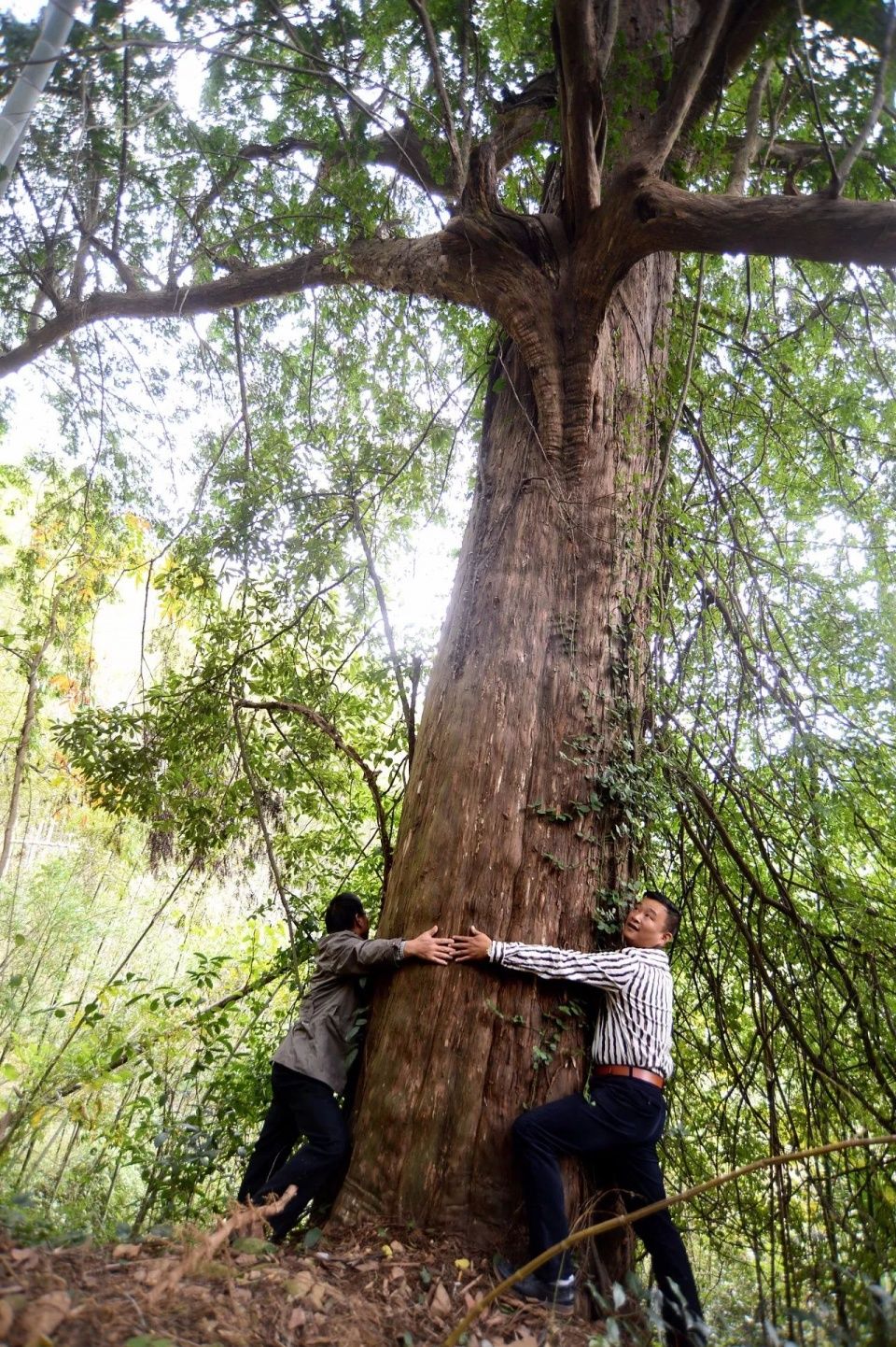 美景 | 萧山最南边的村子,不仅景色超美,还有很