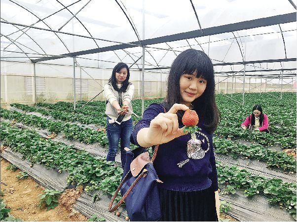 各种果园、生态鸡鸭……这家自治区五星级乡村旅游区，离玉林只有