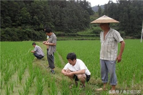 厌倦了打工？想回农村创业？干什么好？不妨尝试这几门，稳赚不赔