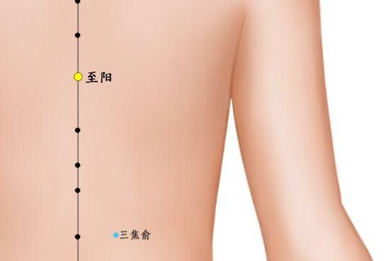 掌握这几个关键穴位，关键时刻可救命!