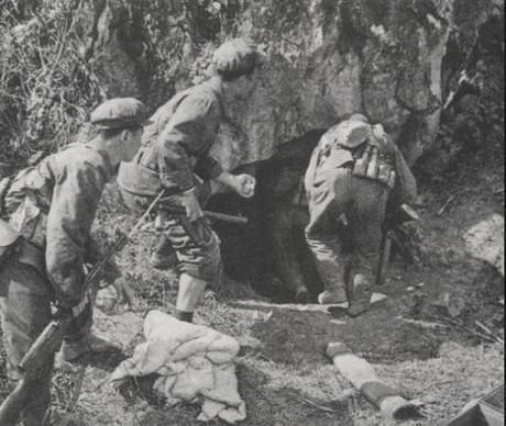 十年中越战争中被解放军击毙的越军最高职军官