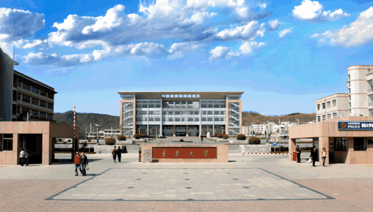 聊城大学在山东排名_山东聊城大学(2)