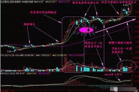 中国股市完全进入“暴利时代”，一旦消息确认，散户有望咸鱼翻身