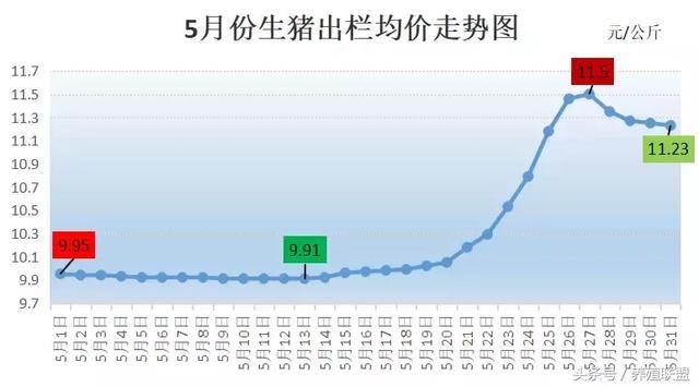 探底结束！6月猪价能否攻破“成本线”？