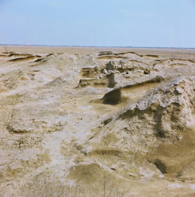 农业在科技的发展