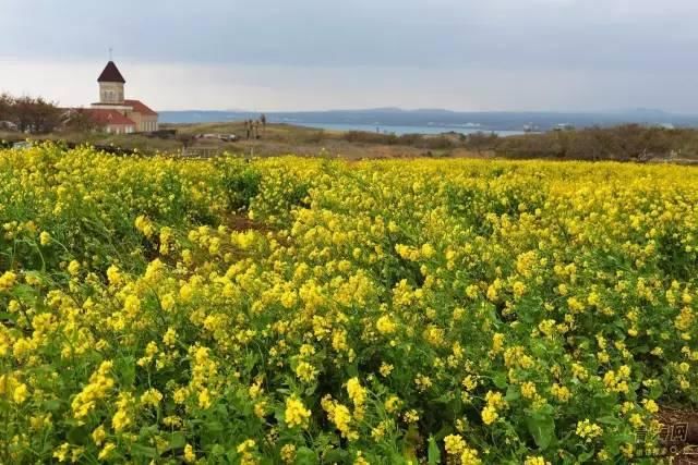 小长假别再出国了!浪了青海，就等于浪了全世界，不信你看!