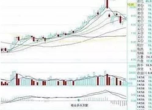 揭秘庄家选股，学会这几点，从此庄家为你买单！