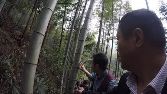 乡村振兴中国行：走进浏阳看桃花飞瀑，听琅琅书声