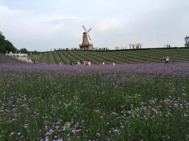 南京这些超适合一日游的地方,每一个都美如画!不看要后悔!