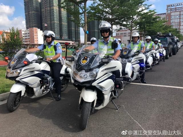 |工作动态|扫黑除恶专项斗争誓师大会