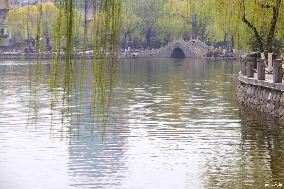 《春之彩》文瀛公园遛个弯!