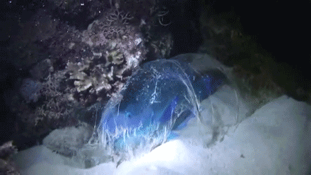 爆笑GIF:媳妇你又在调皮了