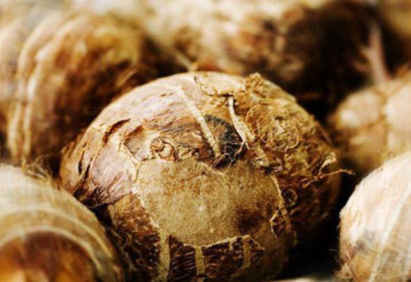 它是菜也是主食,女人多吃,可以增强体质,少掉发