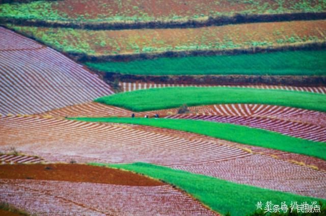 5月的云南美美滴-与大家一同分享云南旅游 摄影的景色