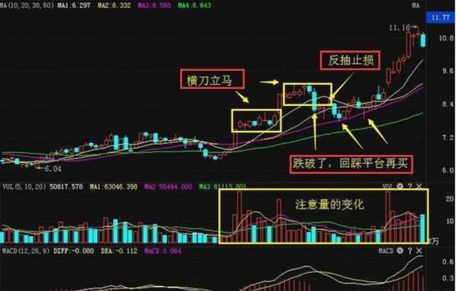 中国股市为何股灾频发？看完此文，你就能看懂中国股市！