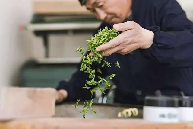 2年寻遍10余省，拜访数十位茶人，全中国最好喝的春茶都在这里了