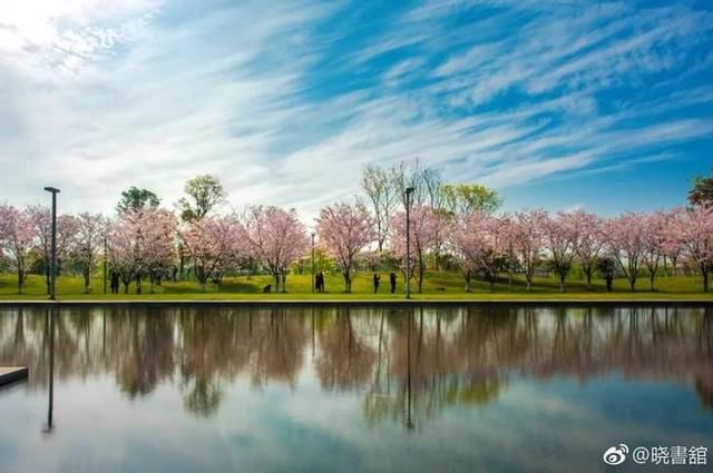 高晓松的诗和远方，大概就是晓书馆的模样