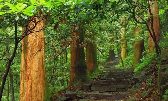 2019年共多少起地震