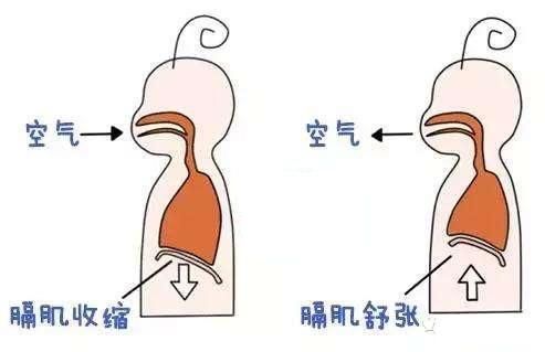 每天掌握一点育儿小知识新生儿为什么经常打嗝?