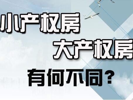 小产权房和大产权房有什么不同？能买吗？