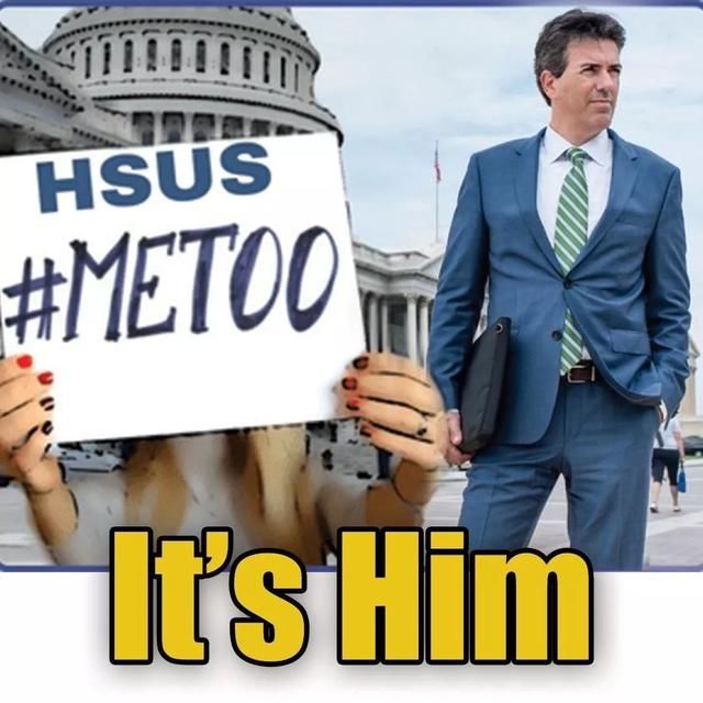 关注世界#MeToo：就是他（#It's him）