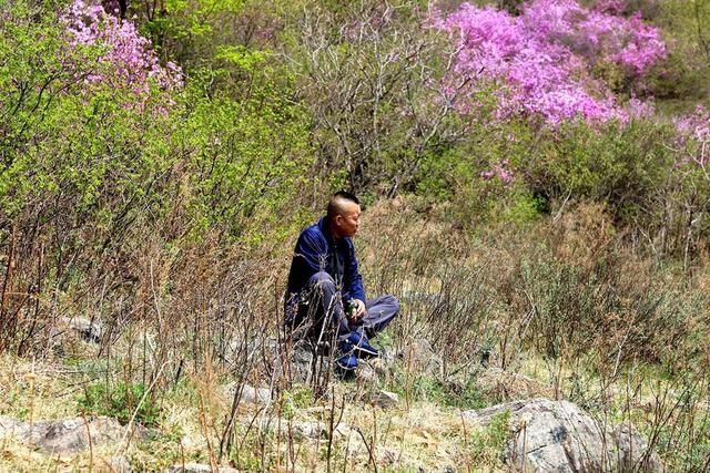 白山户外群关门砬子观映山红休闲一日游