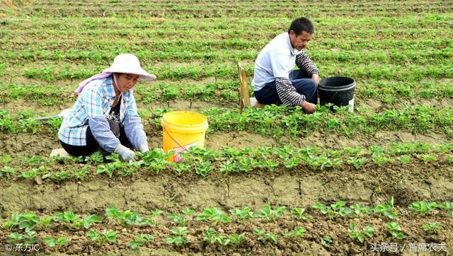 2018年，土地承包期再延30年，但这4种情况会被国家收回