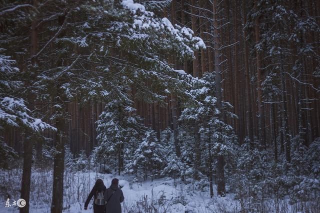 西安连续几场雪带给人们生活不便的思考