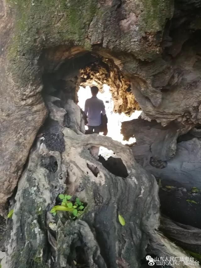 长泰的通关密码:生态