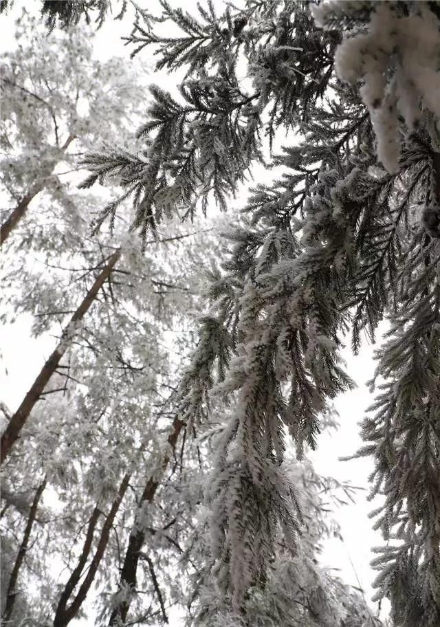 这是贵州最全的冰雪景观！美得有点猝不及防……