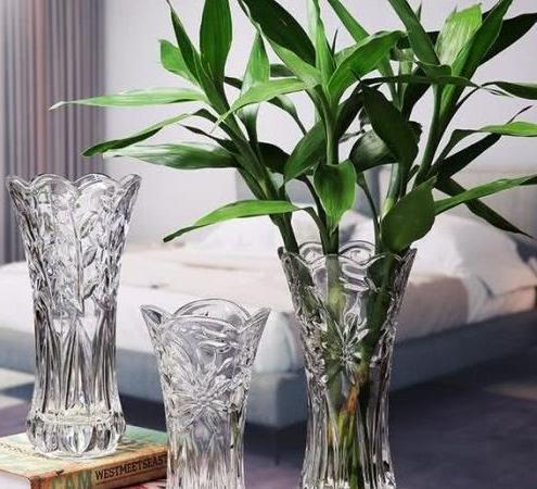 怎么养花瓶的花 t01db9acbe77ef8704b.jpg