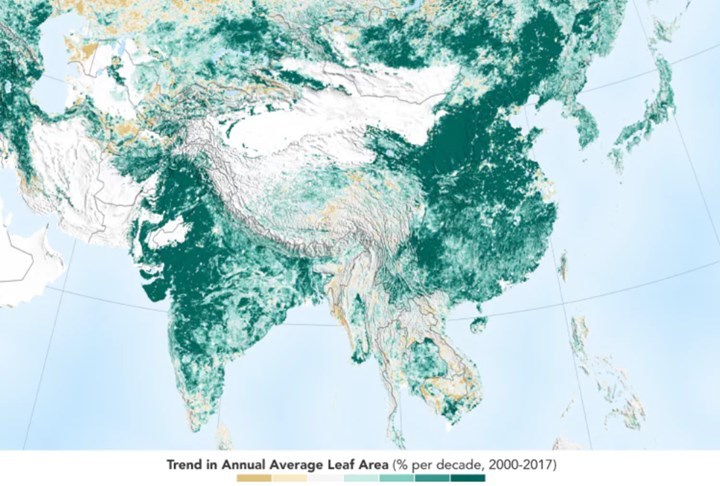 中国和印度在绿化地球方面处于领先地位