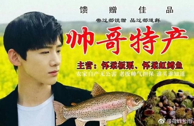 白敬亭向粉丝科普油菜花的价值,真是一个合格