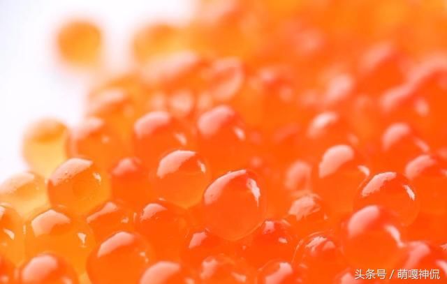 妻子生下“鱼子”，岳母发现不对，发现女婿不是人