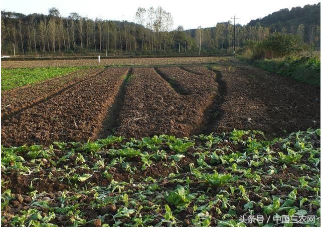 农村土地确权四大新变化 对农民来说都是好事！