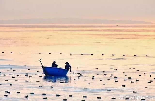 你想要的大海和沙海这里全都有