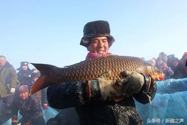 到新疆吃什么海鲜？野生冷水鱼才是第一选择