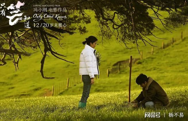 只有芸知道电影讲的什么